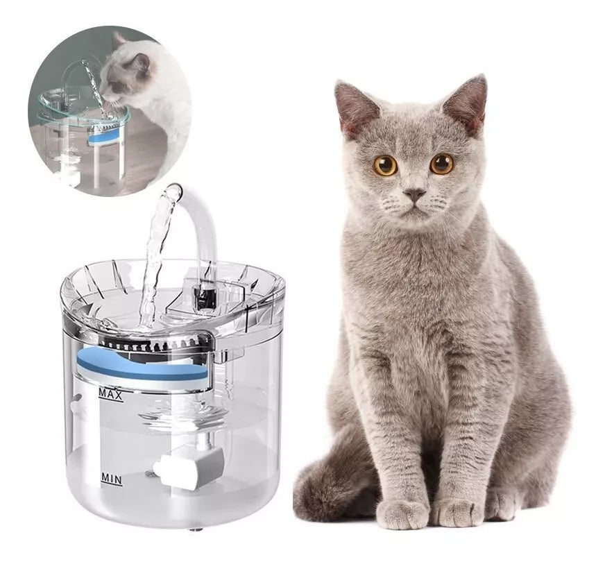 gato con fuente de agua automatico para gatos