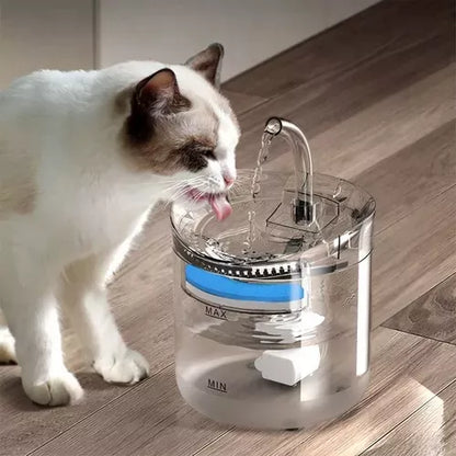 fuente de agua con gato