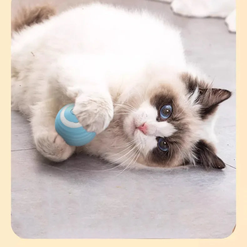 Pelota interactiva para gatos