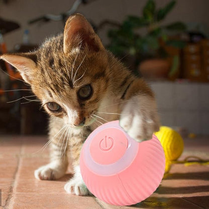 gato cachorro con pelota interactiva  rosada