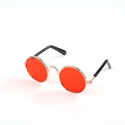 gafas rojas para gato