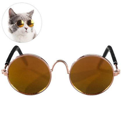 gafas cafes para gato 