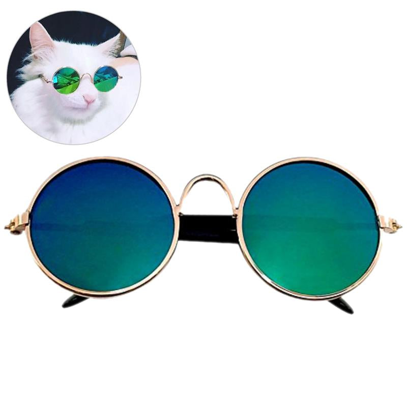 gafas azules para gato