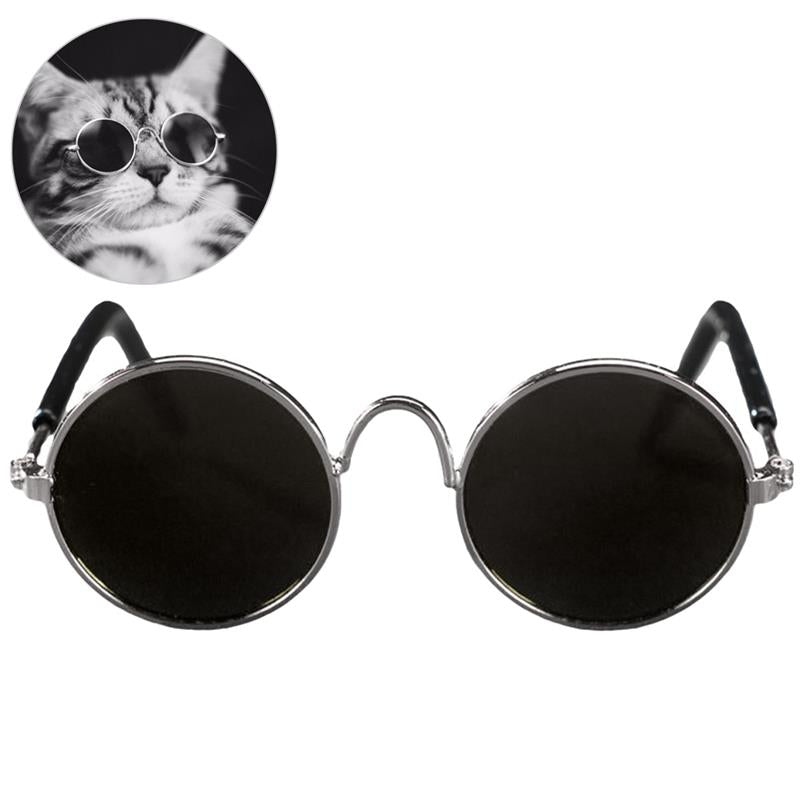 gafas negras para gato